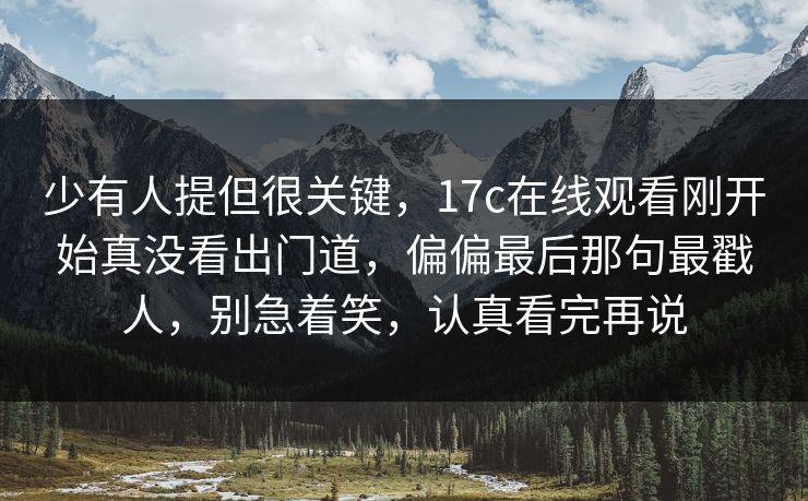 少有人提但很关键，17c在线观看刚开始真没看出门道，偏偏最后那句最戳人，别急着笑，认真看完再说
